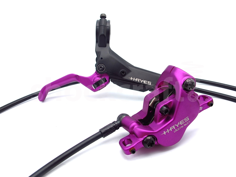 Limited Edition Dominion Purple Hayes Brakes