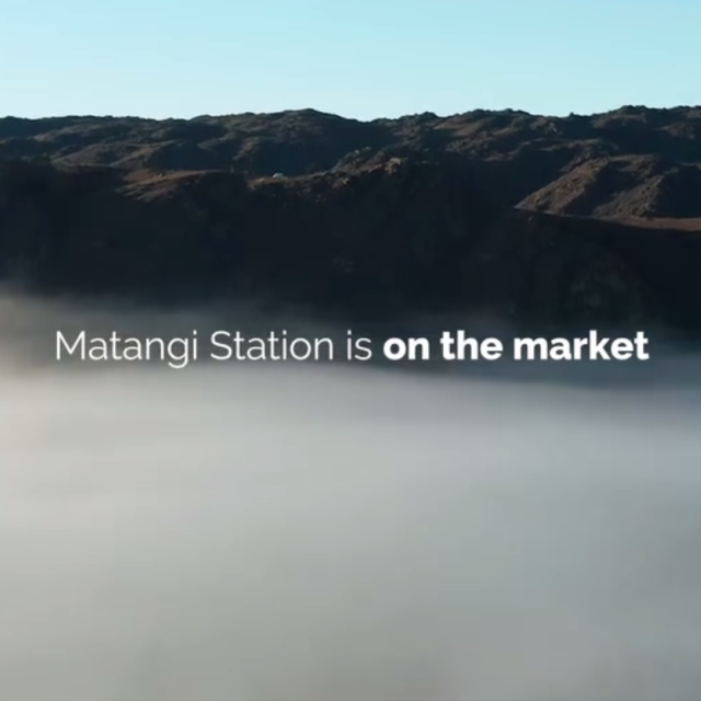 Matangi Station