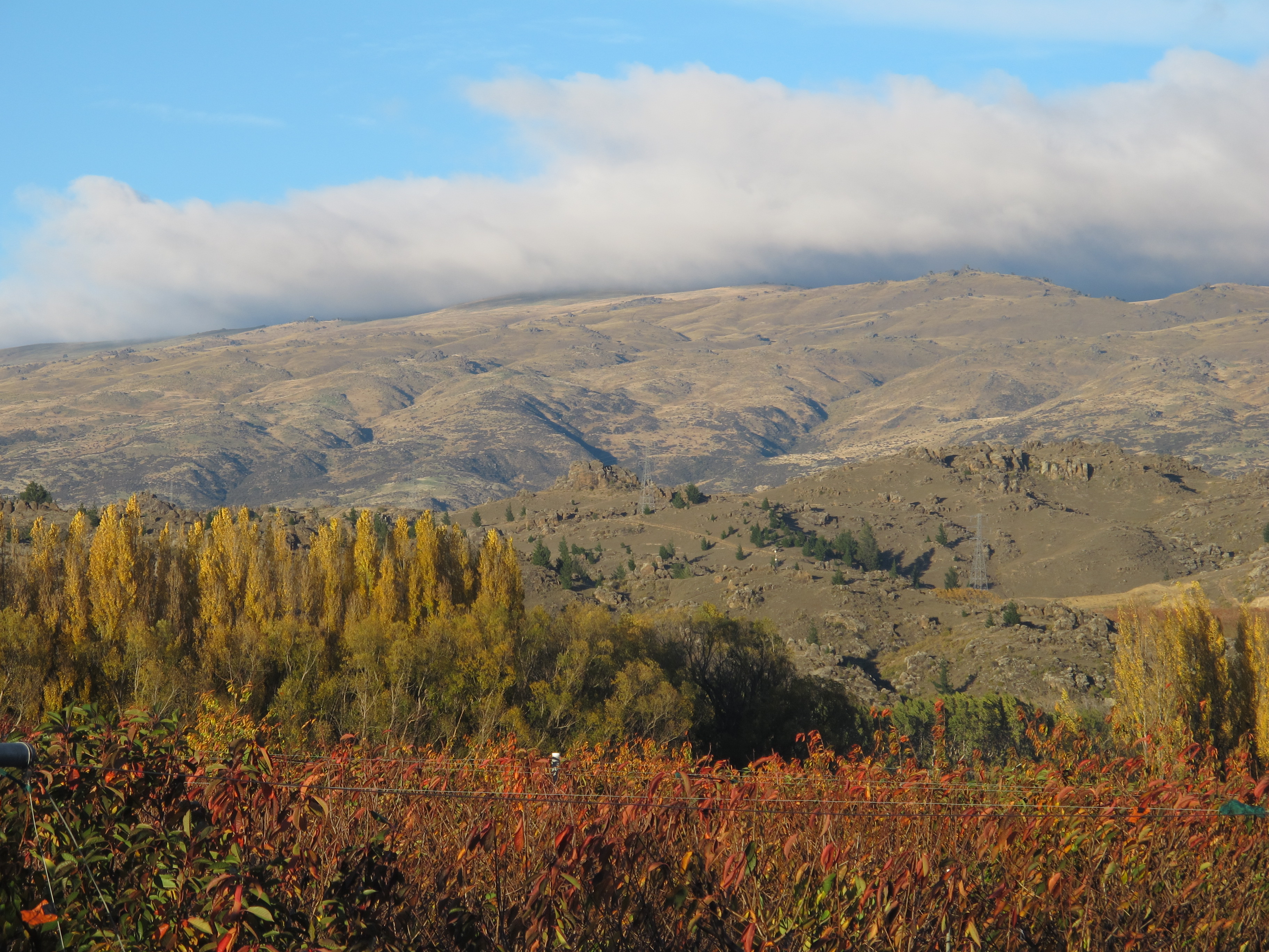 Alexandra in Autumn