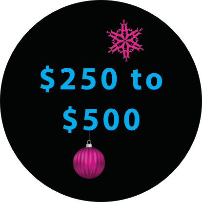 Biken Gift Ideas $250 to $500 Biken Gift Ideas $250 to $500