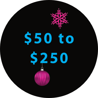 Biken Gift Ideas $50 to $250 Biken Gift Ideas $50 to $250