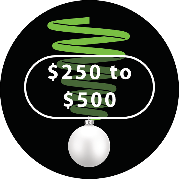 Shockcraft Gift Ideas $250 to $500 Shockcraft Gift Ideas $250 to $500