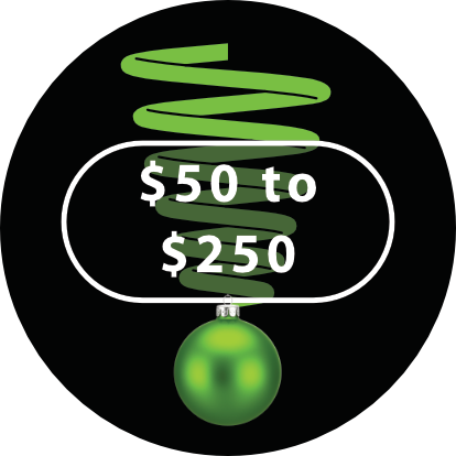 Shockcraft Gift Ideas $50 to $250