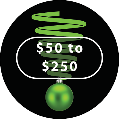 Shockcraft Gift Ideas $50 to $250 Shockcraft Gift Ideas $50 to $250