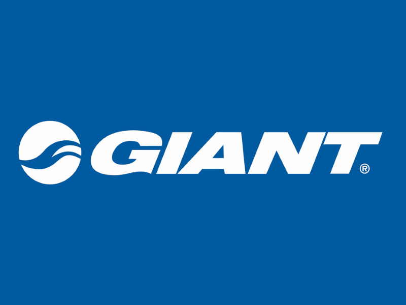 Giant Bearing Kits Giant Bearing Kits