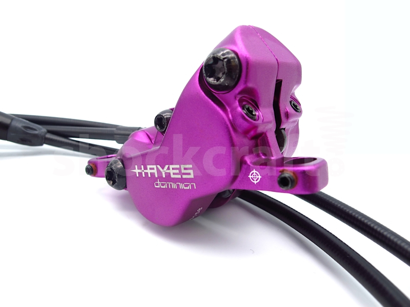 Purple Hayes